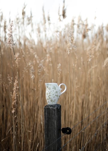 Caraffa Slåpeblom, 25 cl - Verde - Wik & Walsøe