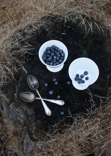 Ciotola da dessert Alv con piede Ø 11 cm - Argento - Wik & Walsøe