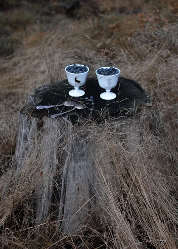 Ciotola da dessert Alveskog con piede Ø 11 cm - Bianco - Wik & Walsøe