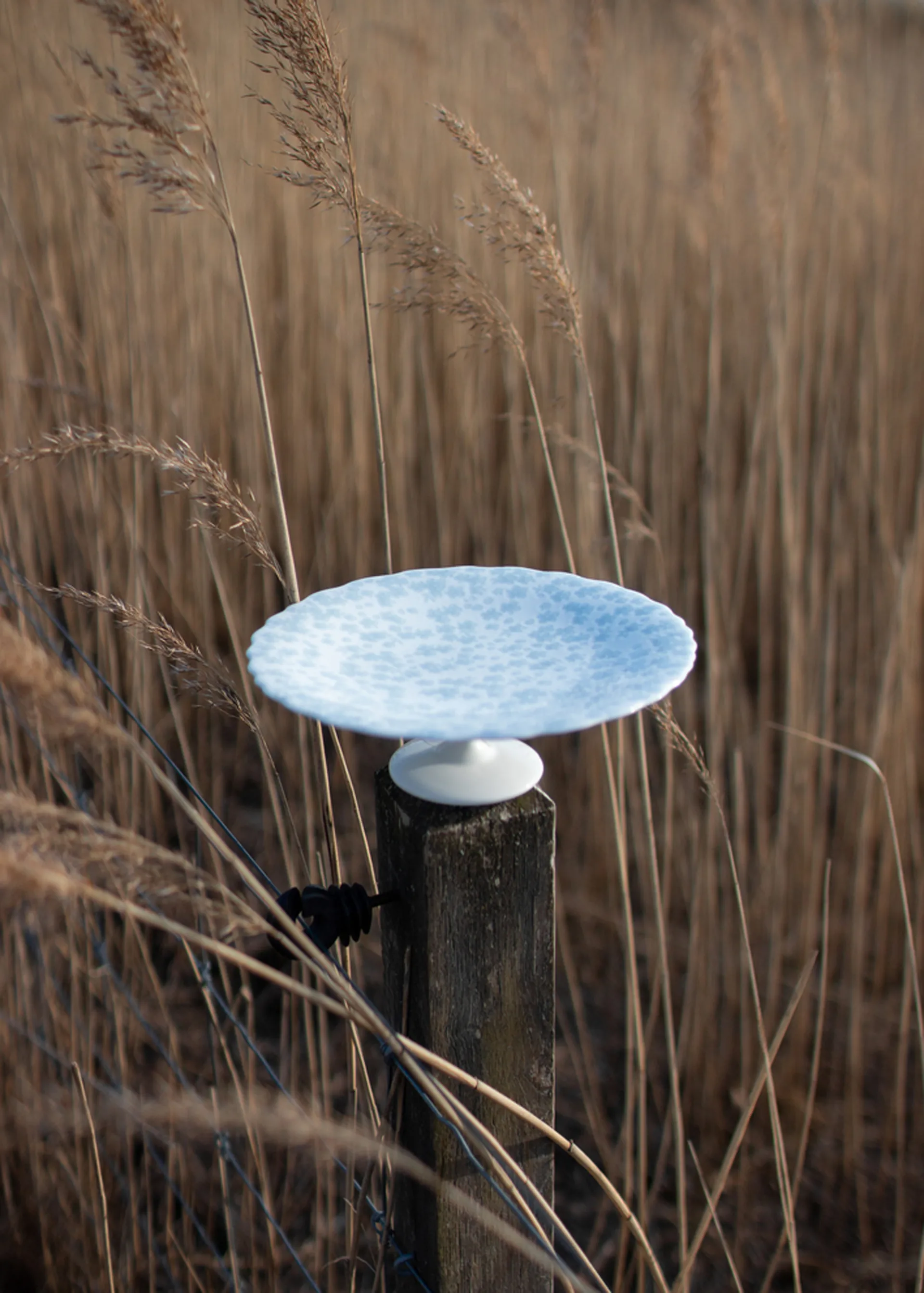 Piatto da torta Slåpeblom Ø 21 cm, Blu Wik & Walsøe