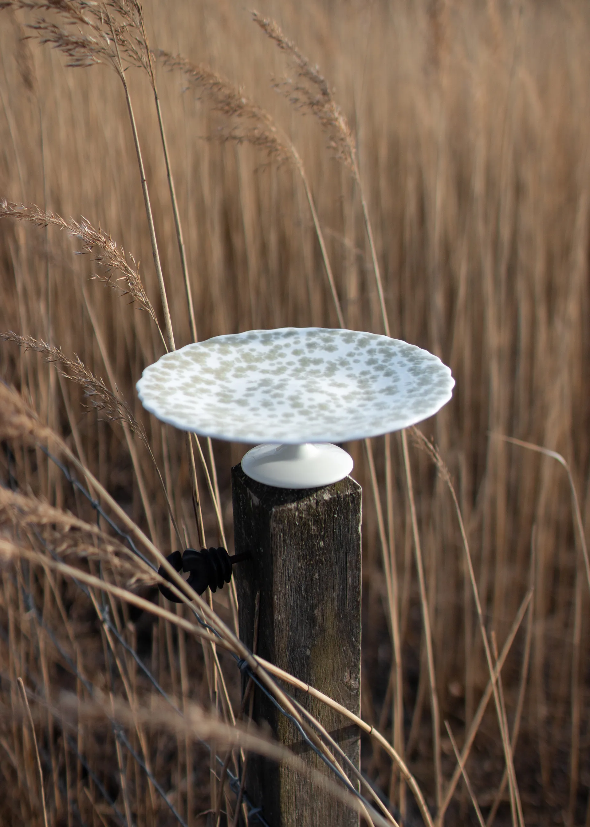 Piatto da torta Slåpeblom Ø 21 cm, Verde Wik & Walsøe