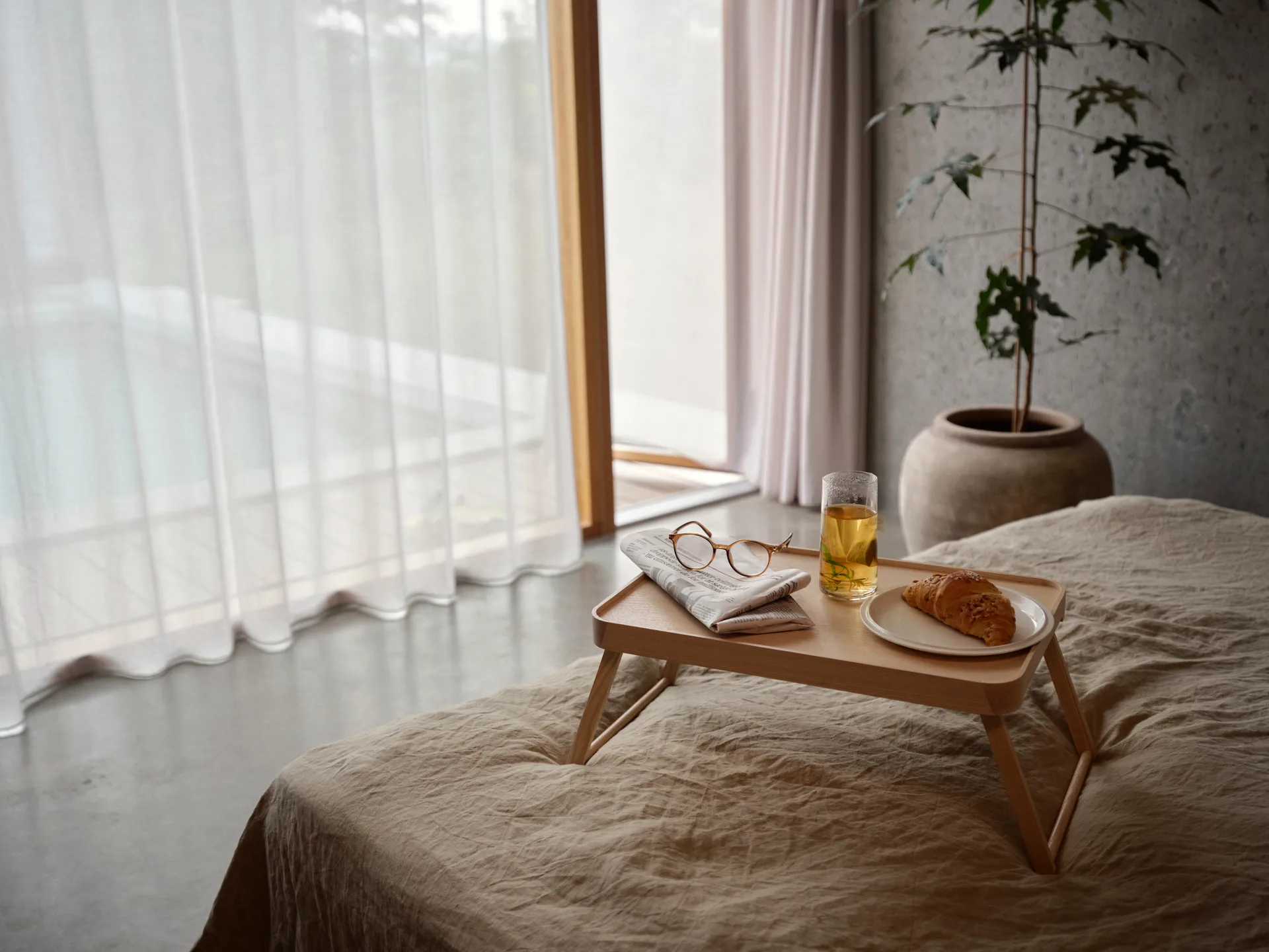 Vassoio Inu , Frassino Zone Denmark