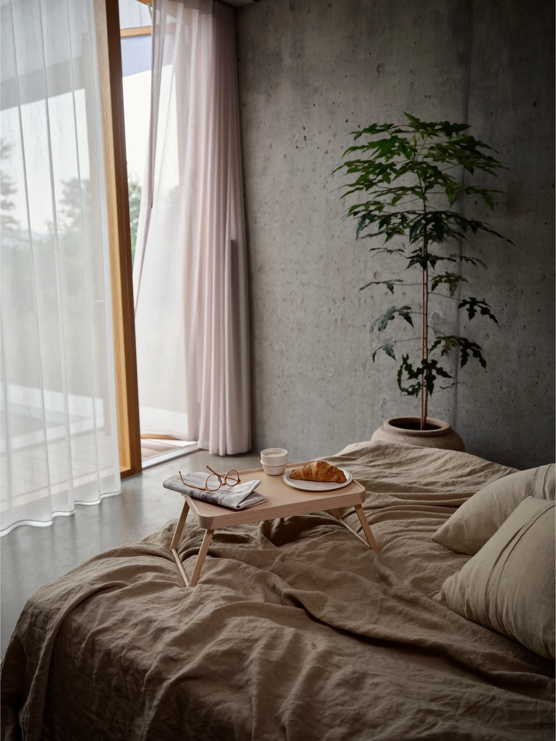 Vassoio Inu , Frassino Zone Denmark