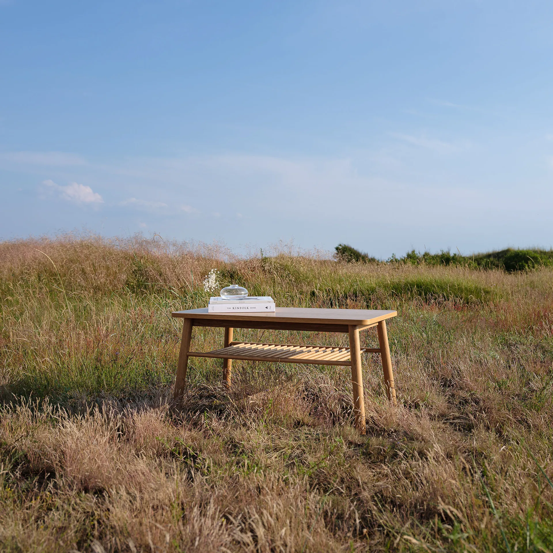 Tavolino da caffè Mino, rovere, bianco Zweed
