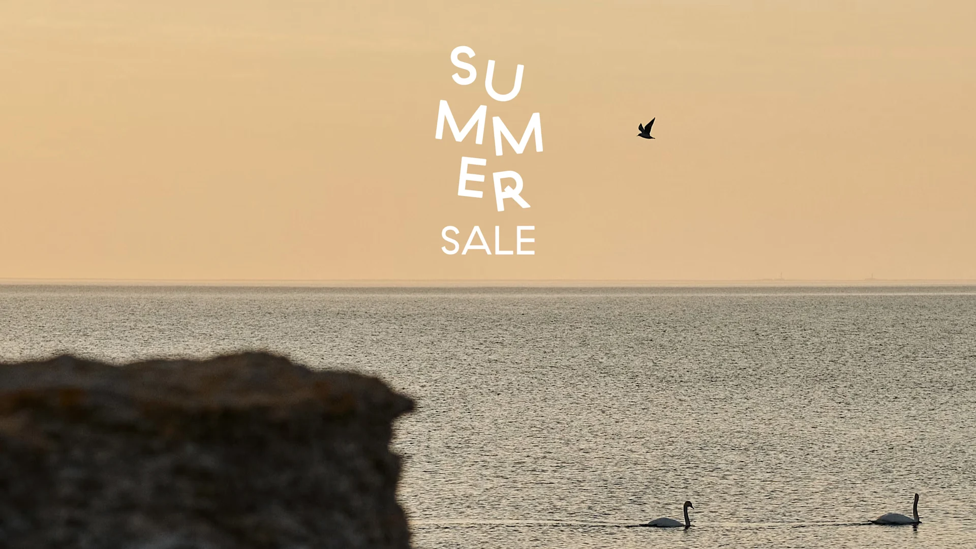 Testo 'Summer Sale' su una serena scena oceanica con due cigni che nuotano e un uccello che vola sotto un cielo caldo.