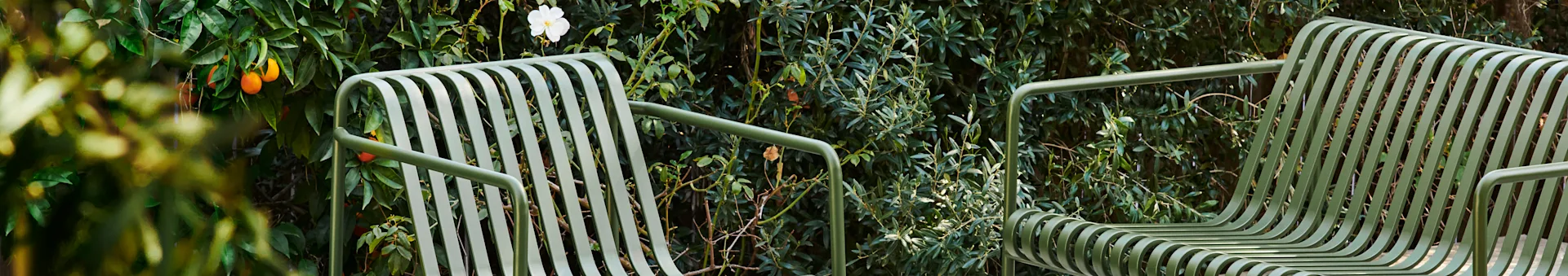 Due sedie da esterno a doghe verde chiaro in un giardino lussureggiante con foglie verdi, arance e un fiore bianco.