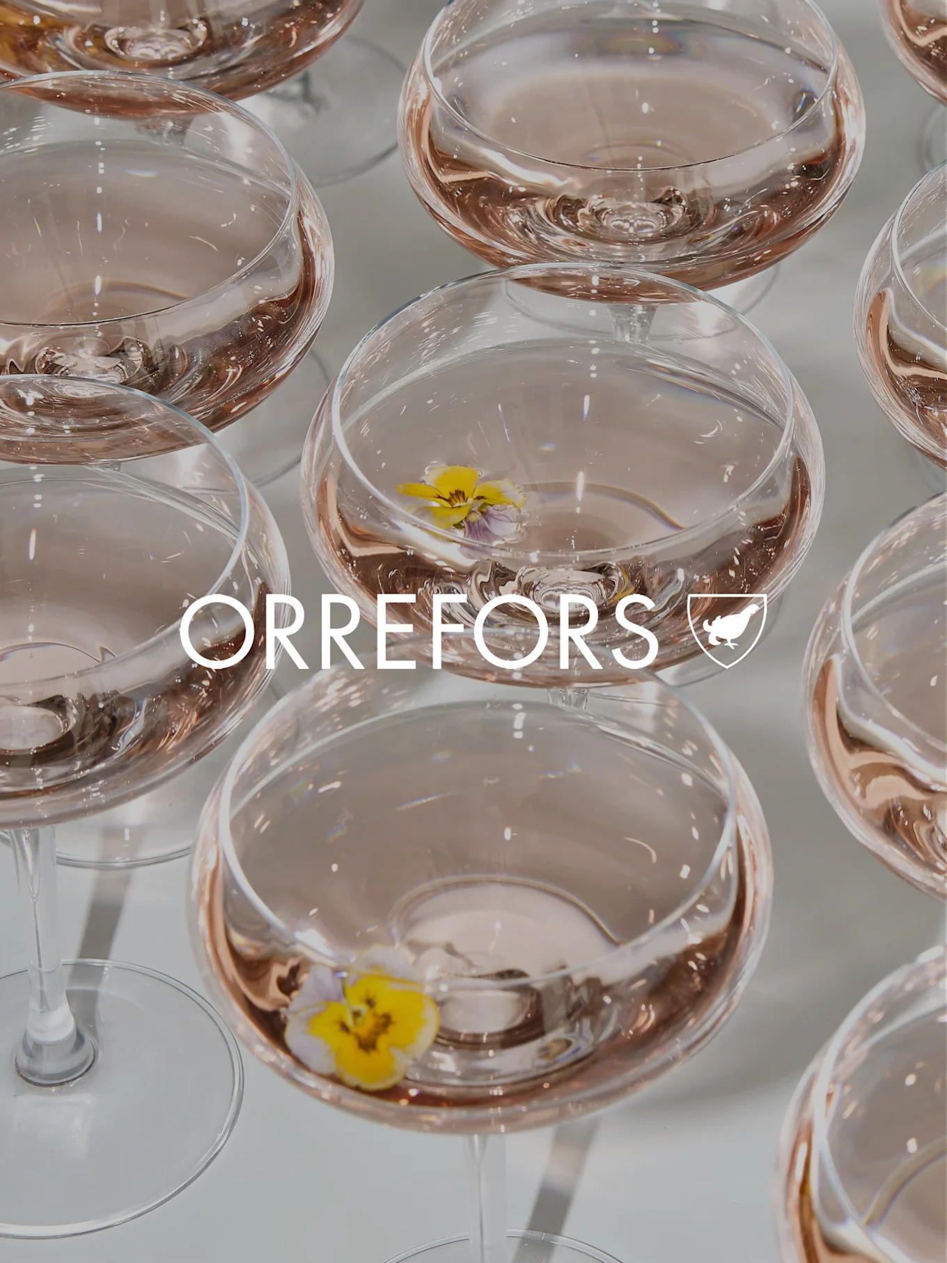Calici di vetro trasparenti con liquido rosa e viole del pensiero gialle. Testo e logo 'ORREFORS' sovrapposti.