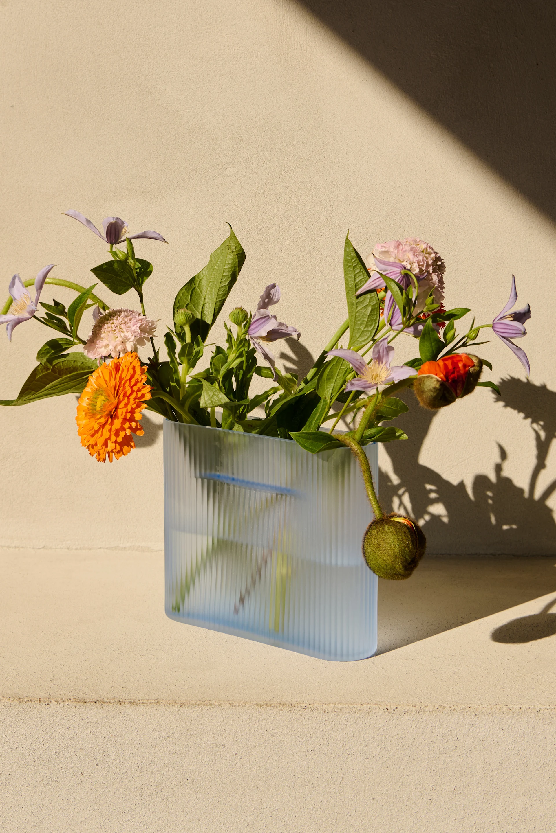 Un vaso a coste azzurro con un fiore arancione, clematidi viola, scabiosa rosa e un bocciolo di papavero. Sfondo beige illuminato dal sole.