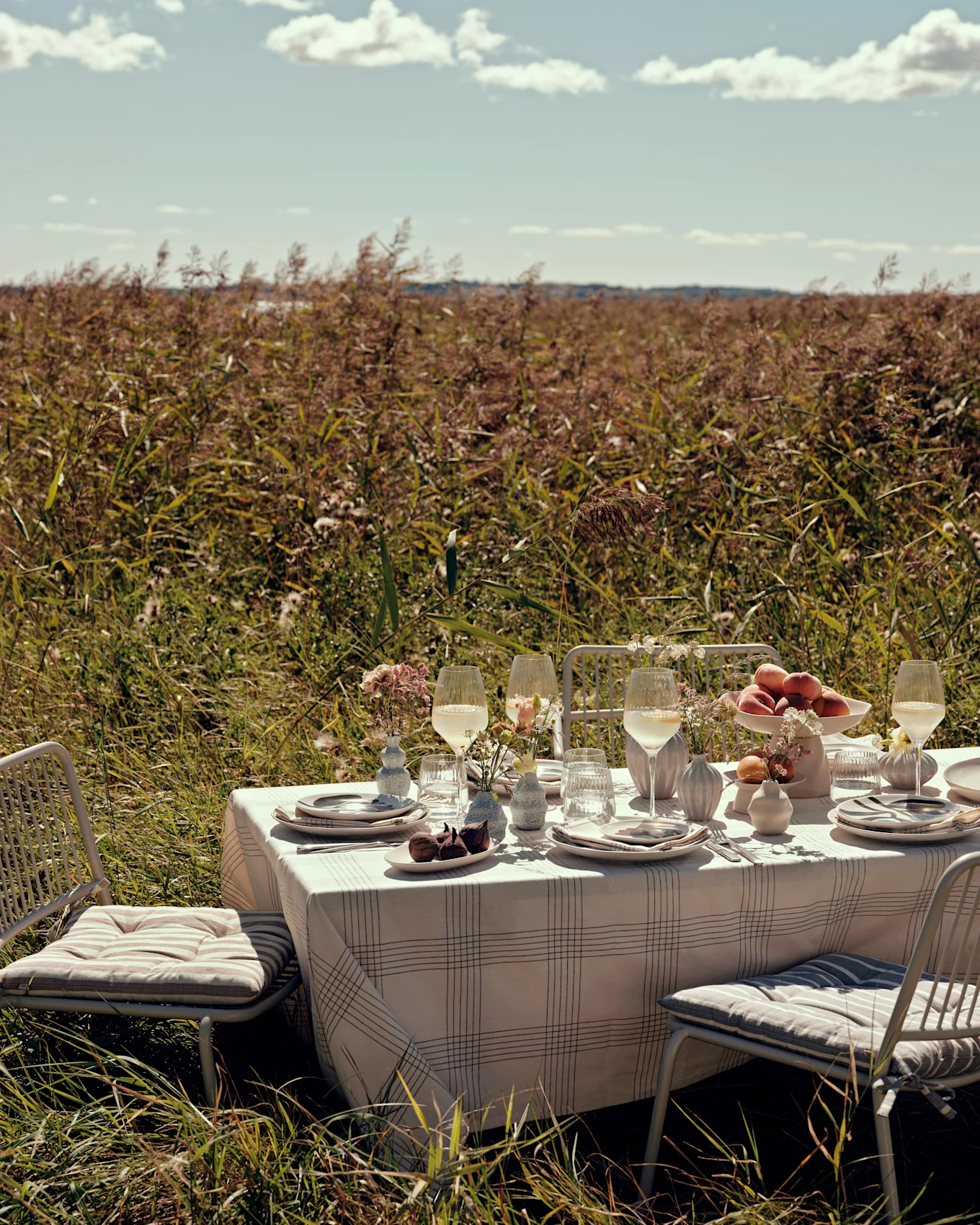 Tavolo da pranzo all'aperto con sedie bianche, tovaglia a quadri, piatti, bicchieri, pesche e fichi, in un campo d'erba soleggiato.